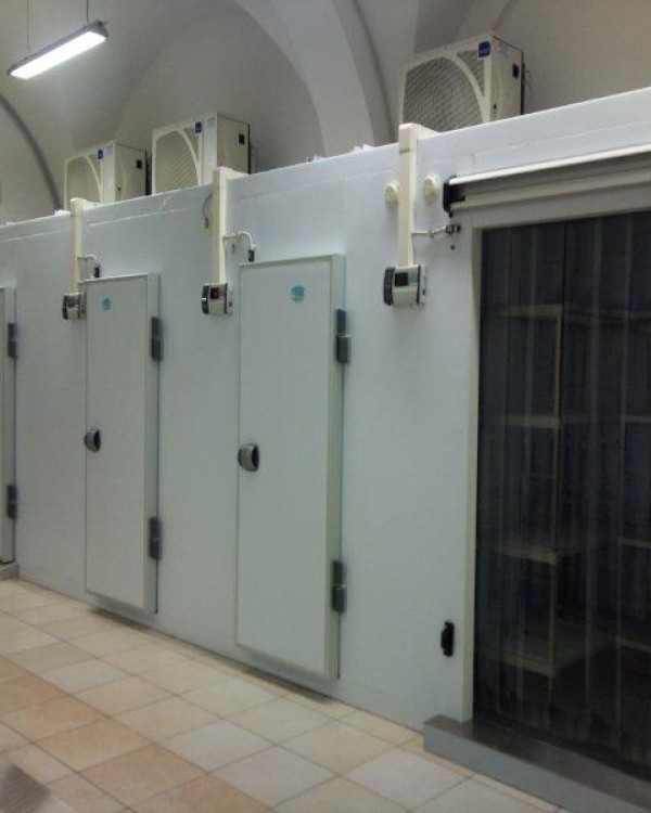 Cella unica con due unita' negative