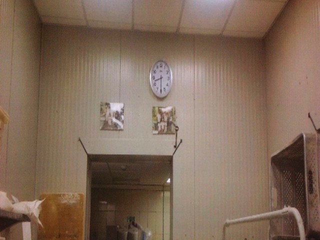 Rivestimento zona di lavorazione panificio - foto 1