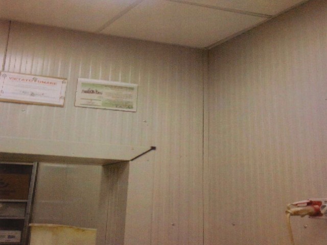 Rivestimento zona di lavorazione panificio - foto 2