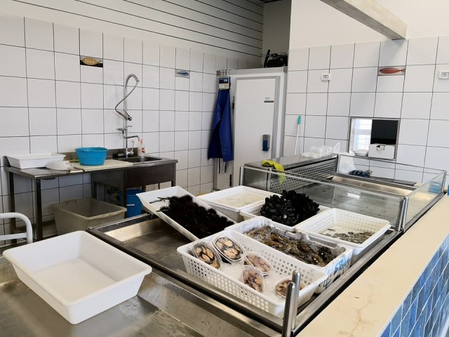 Montaggio e installazione d'impianto di aspirazione e frigoriferi - foto 2