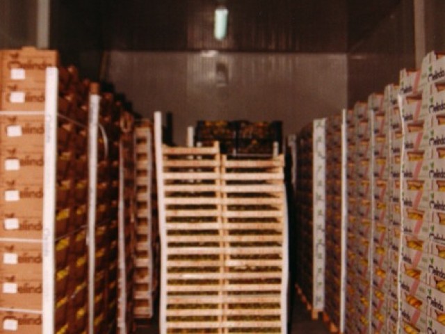 Cella ortofrutta bari - foto 4
