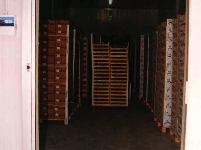 Cella ortofrutta bari - foto 5