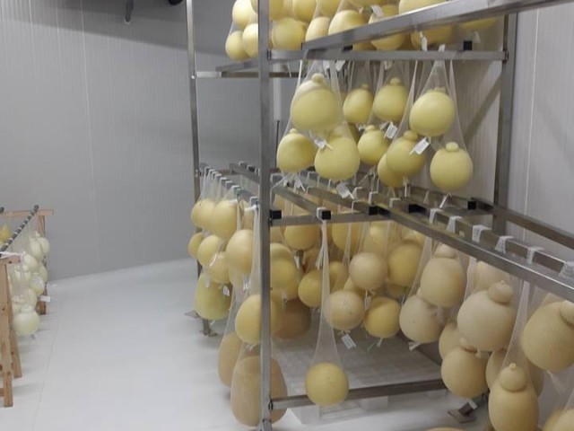 Celle di stagionatura formaggi - foto 5