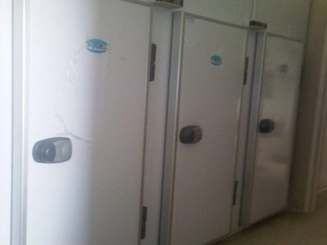 Celle frigo per lido bari - foto 1